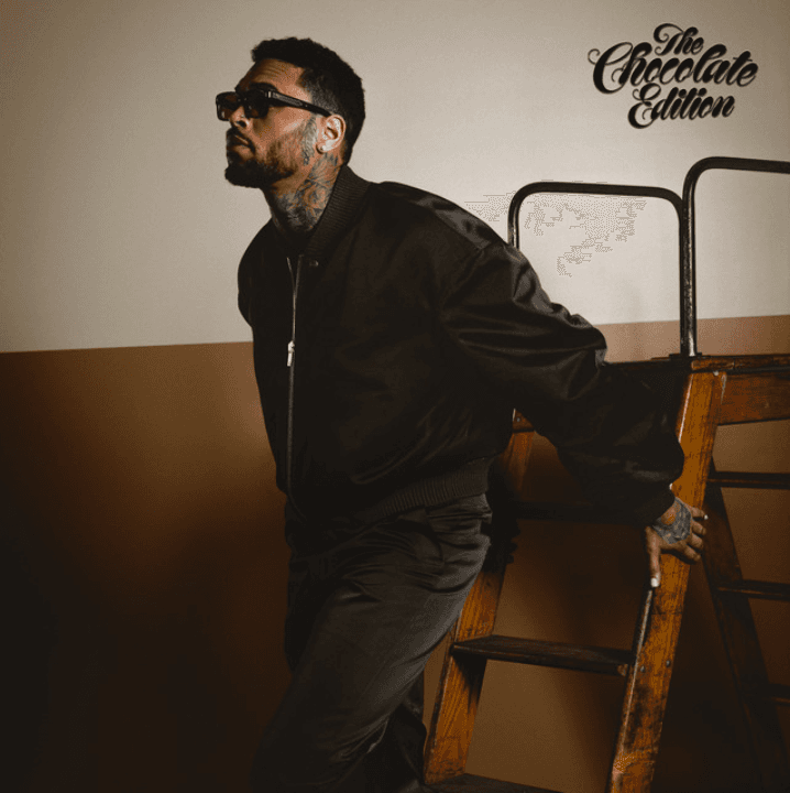 Chris Brown - Man On A Mission ft. Wizkid
