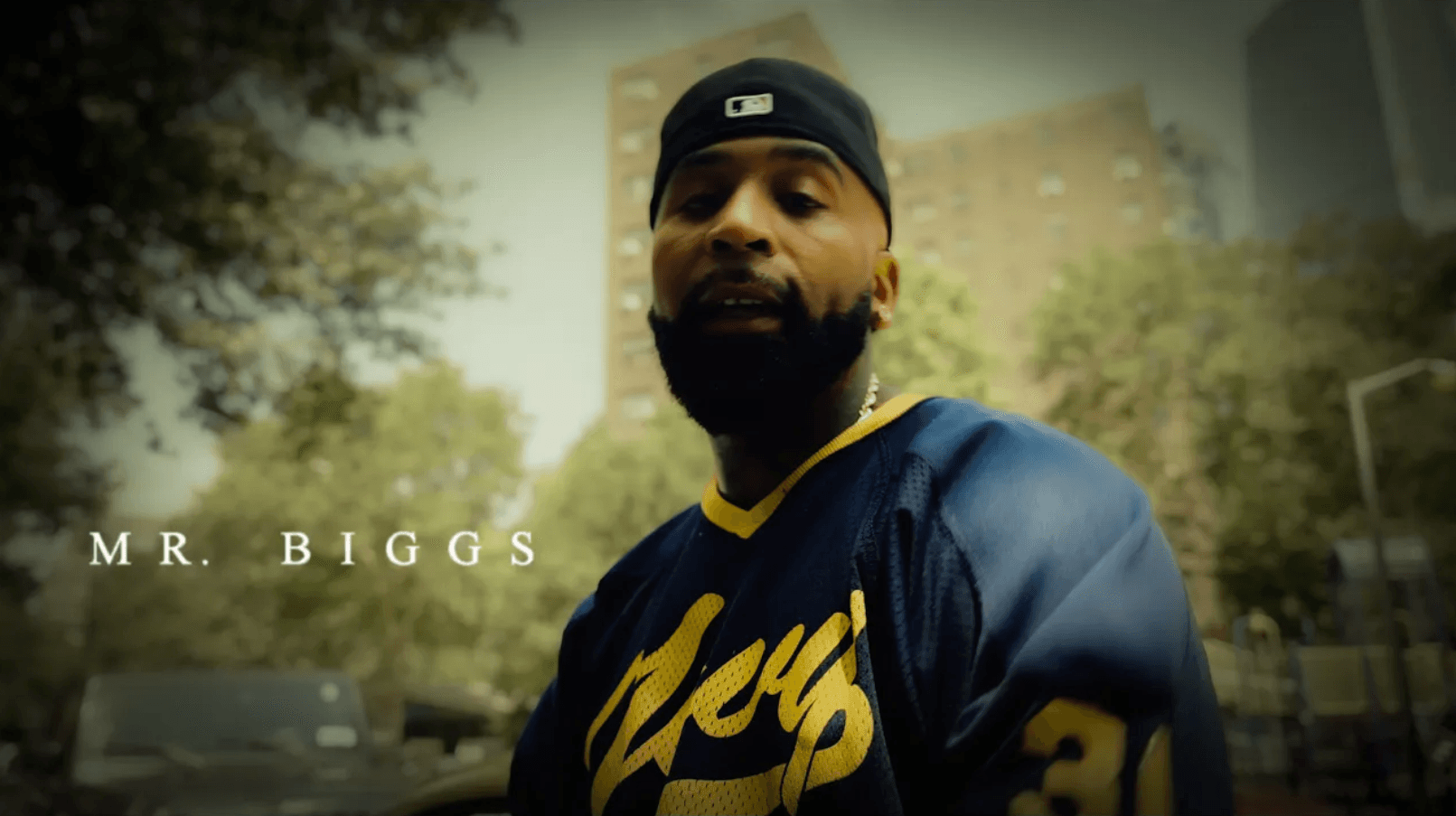 PFG - "Mr. Biggs"