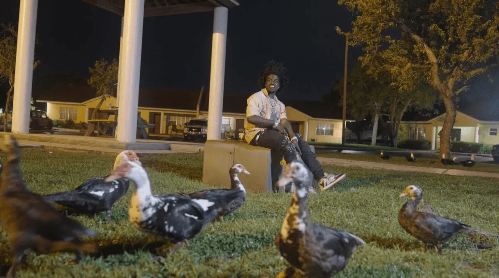 Kodak Black - Lil Birdie