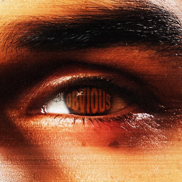 Chris Brown - Obvious